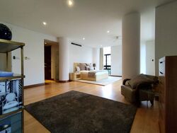The Colonnade (D10), Condominium #337685721